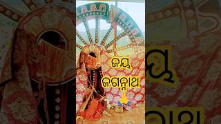 Jay Jagannath 🙏 nabakalebara pain daru baharithiba stana bhubaneswar odisha [upl. by Aneles]