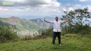 The 8 Brocades Qi Gong Practice Part 1 of 8 [upl. by Aernda]