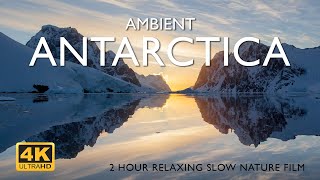 Ambient Antarctica 4K  2hour relaxing slow nature film [upl. by Krasnoff]