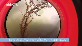 Looking underwater with a large aquascope [upl. by Akirderf]