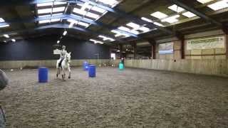 Working Equitation  Ease of Handling Novice Test GB [upl. by Landre218]