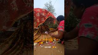 Tulsi vivah🙏🌼 ❣️ Devuthani Ekadashi tulsivivah saamakhele [upl. by Robbie46]