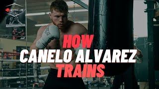 Canelo Alvarezs Unreal Training Routine  Full Breakdown [upl. by Baggott]