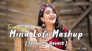 mind Relaxing lofi song lovemashup song abhi standuptranding now [upl. by Lettie712]