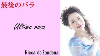 Ultima Rosa R･Zandonai 最期のバラ Kyoko Yoshida 吉田恭子ソプラノリサイタル [upl. by Einattirb305]