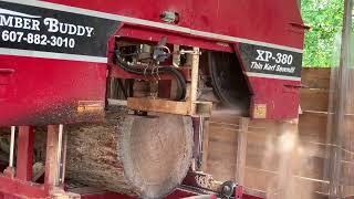 Timber buddy xp380 bandmill vs 27 inch diameter hemlock log part one [upl. by Odnolor77]