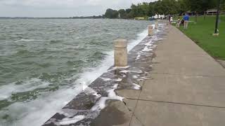 🚶‍♂️🌊🦆Walking in James Madison Park on Lake Mendota [upl. by Othelia460]