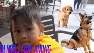 DI MALL ADA ANJING [upl. by Roseline]