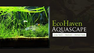 A Vibrant Ecosystem Aquascape  Deep Sand Dirted Aquarium  No CO2  No Water Change [upl. by Laaspere989]