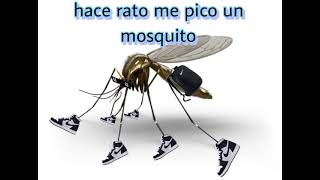 hace rato me pico un mosquito vídeo [upl. by Anehc722]