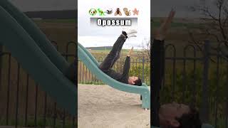 How different animals go down a slide Part 2 With Emojis [upl. by Aivatnuhs]