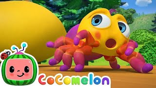 Itsy Bitsy Spider  CoComelon Nursery Rhymes amp Animal Songs  Kids Songs  Super Simple Songs [upl. by Ephraim]