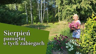 SIERPIEŃ ✂ PAMIĘTAJ O TYCH ZABIEGACH 😇 OGRÓD W KOLORACH TĘCZY [upl. by Enrica]