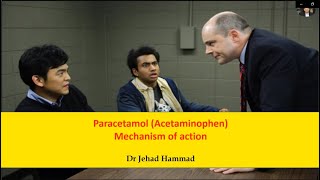 Paracetamol Acetaminophen Mechanism of Action [upl. by Dania250]