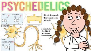 Psychedelics a trip from mechanism to therapeutic potential [upl. by Etam88]