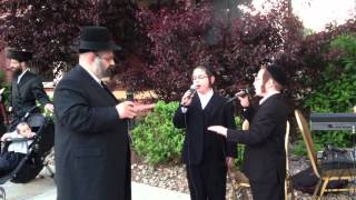 Yanky Weingarten and Sons at A Chuppah [upl. by Arev]