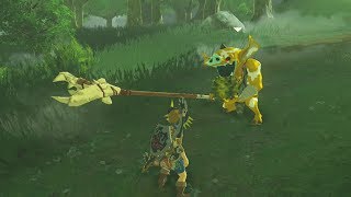 Link Gives A Gold Bokoblin his Last Meal  Zelda Breath of the Wild [upl. by Bridie59]