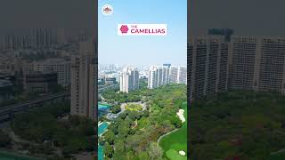 Indias Most Expensive Society Flats  DLF Camellias amp DLF Magnolias Gurgoan [upl. by Airtina]