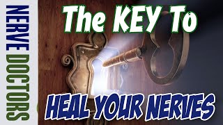 The Key To Heal Your Nerves  The Nerve Doctors [upl. by Nerhe]