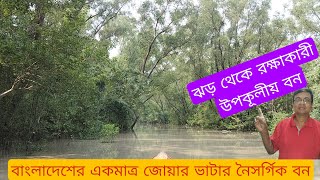 ঝড় বন্যা ও প্রাকৃতিক দুর্যোগ মোকাবেলায় বাংলাদেশের অপুরুপ গ্রীনল্যান্ড উপকূলীয় এলাকায় বনায়ন। [upl. by Sidky]