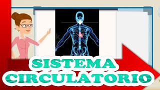 Sistema Circulatorio Para Niños ❤️EXPLICACIÓN COMPLETA 🏋️🤸🤾❤️ [upl. by Guy159]