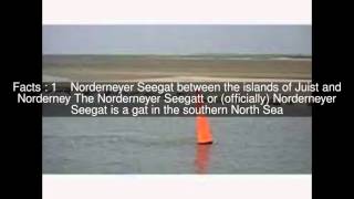 Norderneyer Seegatt Top 5 Facts [upl. by Atinet994]