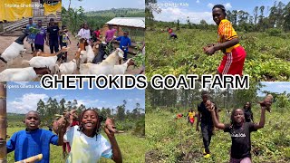 Ghetto Kids  Spend a Day At Their Farm Learn To Harvest  Goat Farming  Dance [upl. by Nwahshar]