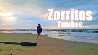 Tumbes Zorritos una de las mejores playas del Perú 4K  Gigi Aventuras [upl. by Aennil852]