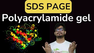 SDS PAGE gel electrophoresis  sds page principle explained  poly acrylamide gel electrophoresis [upl. by Ysle779]