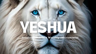 Prophetic Worship Instrumental YESHUAJesus Image Intercession Soaking Worship [upl. by Novyat]