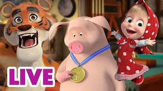 🔴 AO VIVO 👱♀️🐻 Masha e o Urso 🙌💯 Vivendo ao máximo 🤩🫶 Masha and the Bear [upl. by Hsepid358]