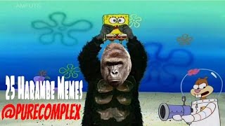 Top 25 Dank Harambe Memes Compilation [upl. by Kcirdot]