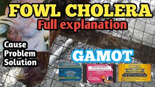 FOWL CHOLERA TREATMENT AND HOW TO AVOID IT FULL EXPLANATION [upl. by Ainotna]