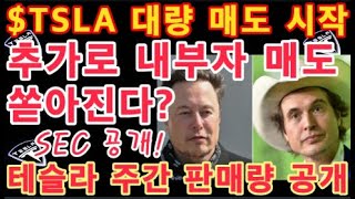 속보 TSLA 내부자 매도 쏟아진다 SEC 10b51  ARK 테슬라 매도 시작  Tesla 주가 지금은 눌림 구간 숨고르기 중  테슬라 중국 주간 판매량 공개 [upl. by Almeida391]