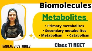 Biomolecules  Primary amp Secondary metabolites  Catabolism amp Anabolism  Class 11 BiologyNEET [upl. by Beulah]