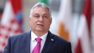 Ungarns Ratsvorsitz EU fürchtet „Blockade und Stillstand“ mit Orbán [upl. by Laise]