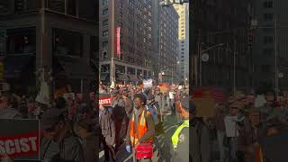 Trump Protest  NYC  11924 [upl. by Lynden]