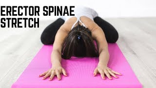 Erector Spinae Stretches for Effective Lower Back Pain Relief [upl. by Bernarr]