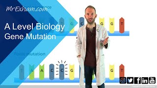 Gene mutation  A Level Biology [upl. by Scharf]