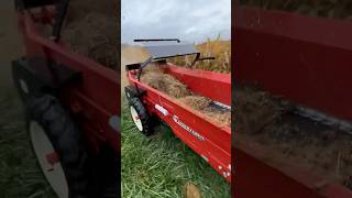 Spreading with a new CM50 manure spreader [upl. by Haleemak]