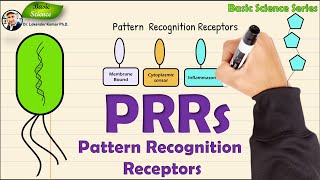 Pattern recognition receptor  Immune system  PRRs  Basic Science Series [upl. by Bonucci]