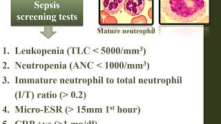 Neonatal Sepsis  Pediatrics [upl. by Noirad385]