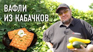 ВАФЛИ ИЗ КАБАЧКОВ  лучший рецепт [upl. by Antsirhc]