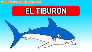 El tiburón para niños Tiburones especies y características Video de Peques Aprenden Jugando [upl. by Ekrub]