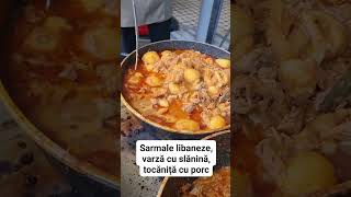 Sarmale libaneze varză cu slanina tocăniță de porc [upl. by Prakash726]