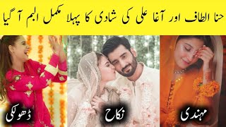 Agha Ali And Hina Altaf Complete Wedding Album  Areeba Meer [upl. by Eelibuj62]