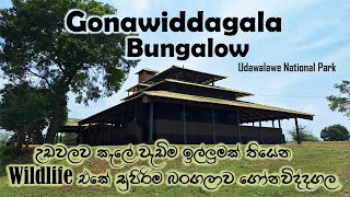 ගෝනවිද්දගල බංගලාව  Gonawiddagala Wildlife Bungalow  Review  Udawalawe National Park  Sri Lanka [upl. by Roddy803]