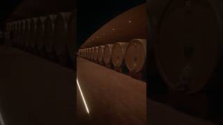 Antinori nel Chianti Classico🇮🇹🎥marchesiantinorivineyard winery familybusiness italy tuscany [upl. by Ilamad]