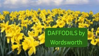 DAFFODILS by William Wordsworth text in urdu with explanation [upl. by Sinaj797]