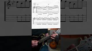 quotPresident Garfields Hornpipequot  Mandolin Lesson shorts [upl. by Argent]